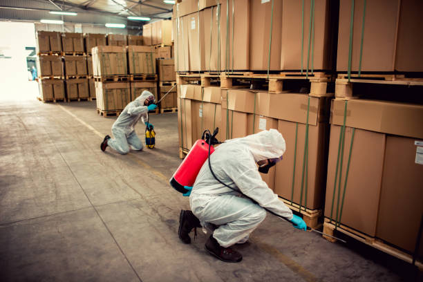 Best Pest Removal Services  in Timnath, CO