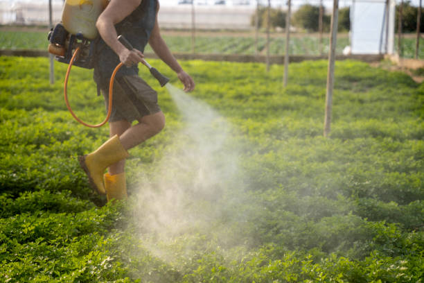 Reliable Timnath, CO Pest Control Solutions