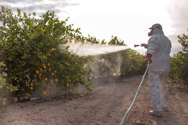 Best Pest Control Near Me in Timnath, CO